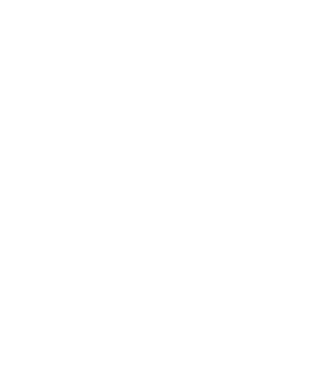 Scorpion Security